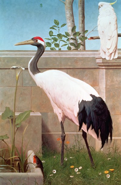 Manchurian Crane, Cockatoo and Robin by Henry Stacey Marks